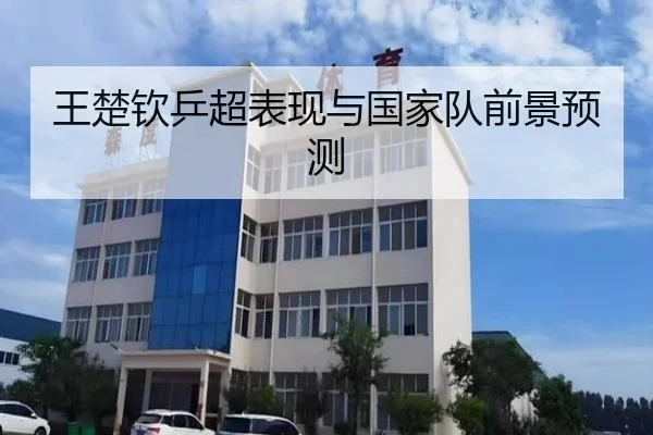 王楚钦乒超表现与国家队前景预测